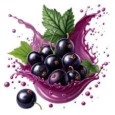 Black Currant